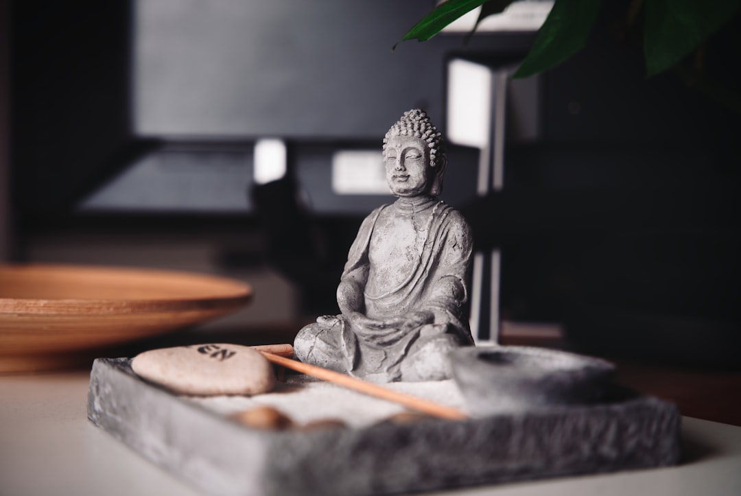 Online Konsültasyonla Küresel Feng Shui Müşterilerine Ulaşma Stratejileri